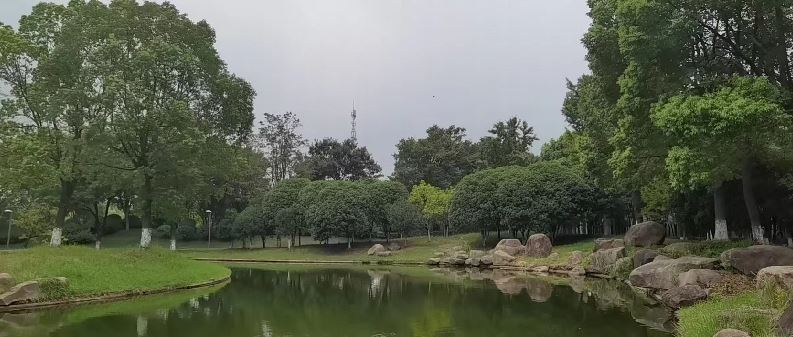 021662095602518884.jpeg 捕獲6.JPG