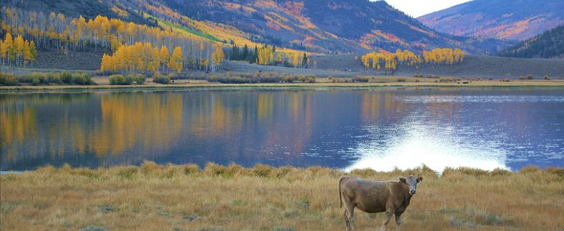 231663893207244265.jpeg 捕獲.JPG