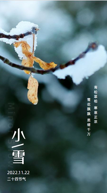 221669096168205767.jpeg 捕獲.JPG