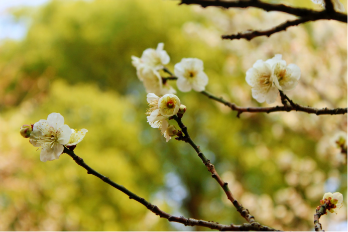 171679016455588274.png image.png