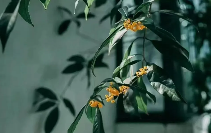 071730960975948333.png image.png